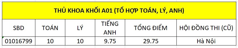 Chân dung các thủ khoa của 5 khối xét tuyển đại học - 9 Chân dung các thủ khoa của 5 khối xét tuyển đại học - 9