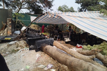 Mứt tết - chết không chừng! 