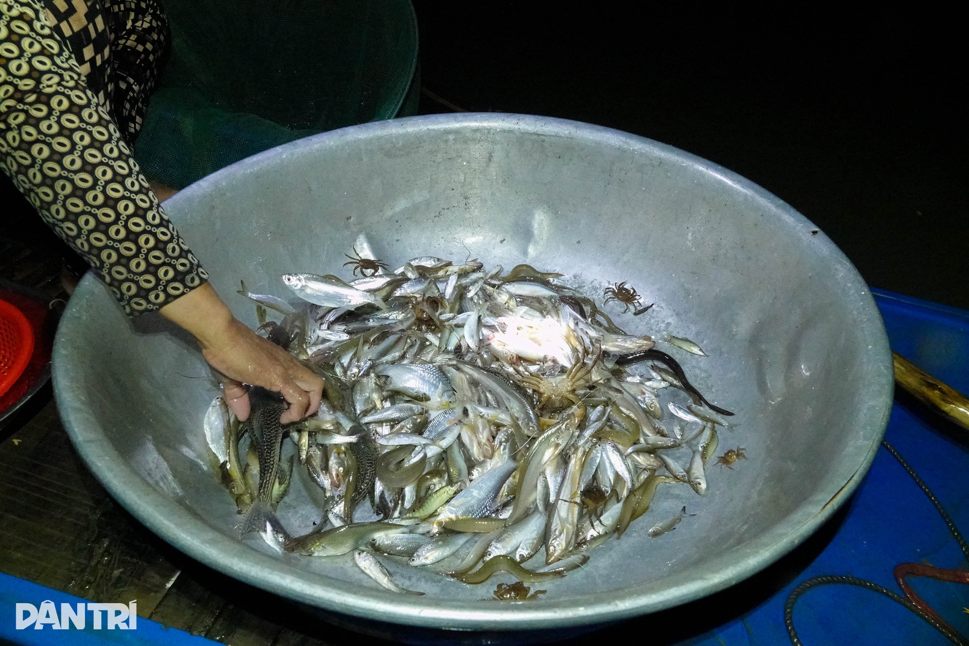 Trắng đêm săn lộc trời kiếm gần triệu bạc mỗi ngày - 6 Trắng đêm săn lộc trời kiếm gần triệu bạc mỗi ngày - 6