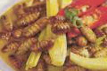 Hà Nội: 9 người ngộ độc nhộng tằm