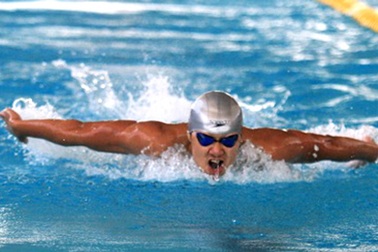 “Kình ngư” Quý Phước không bị ai trù dập