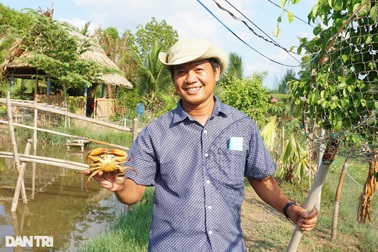 Anh nông dân nhàn hạ, thu lãi cao nhờ nuôi cua biển bằng cách độc, lạ