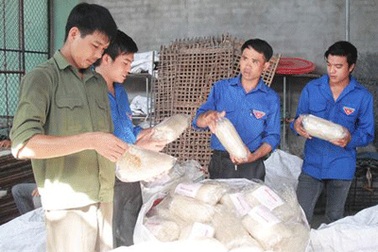 Kiếm tiền tỉ từ…“đại học” làng 