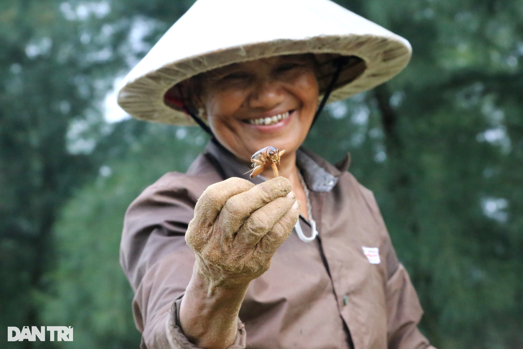 Đổ xô đi săn loài côn trùng phiêu lưu ký - 10 Đổ xô đi săn loài côn trùng phiêu lưu ký - 10