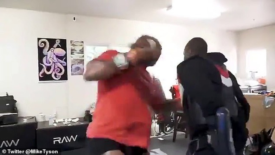 Cú đấm của Myke Tyson có thể giết chết bất kỳ người nào - 1 Cú đấm của Myke Tyson có thể giết chết bất kỳ người nào - 1