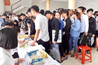 Ninh Bình: Giảm thiểu tối đa hành vi trục lợi chính sách