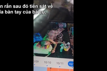 Cụ bà 93 tuổi bị rắn hổ mang cắn vào tay khi đang nằm ngủ