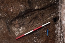 Phát hiện 3 bộ xương người Việt cổ có niên đại khoảng 5.000 năm