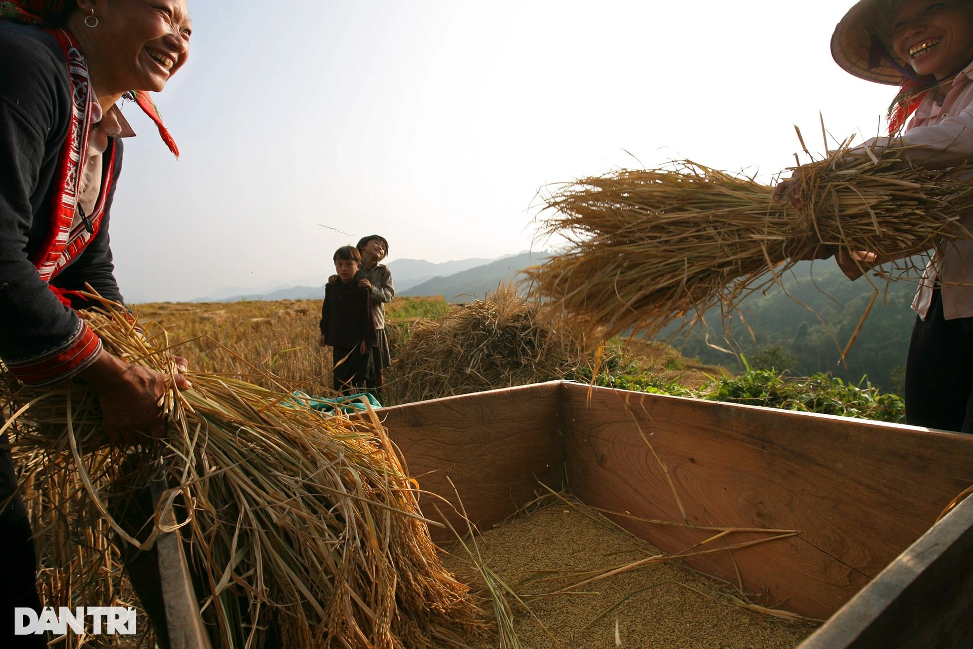 Hà Giang bốn mùa hoang dã - 2