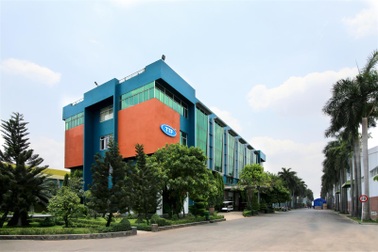 Gỗ Trường Thành bị phong tỏa tài khoản ngân hàng