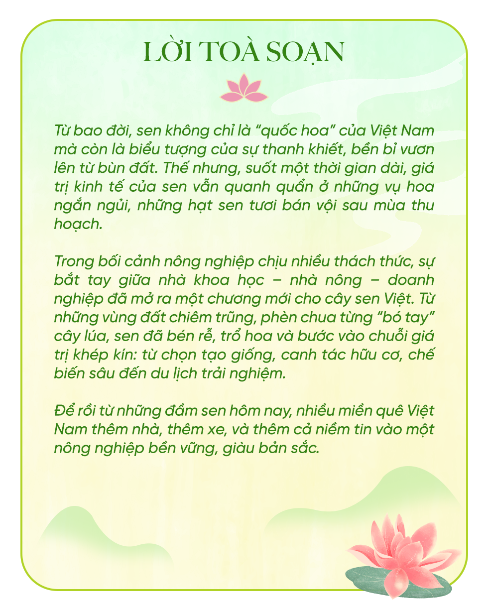 Hoa sen vươn mình giữa đất cằn để những miền quê Việt thêm nhà lầu, xe hơi - 1 Hoa sen vươn mình giữa đất cằn để những miền quê Việt thêm nhà lầu, xe hơi - 1