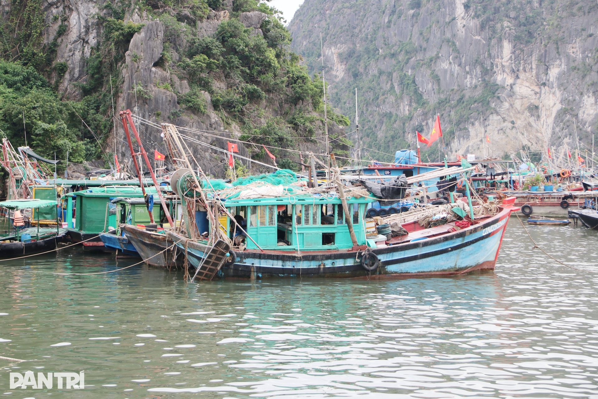 Tàu thuyền ở Quảng Ninh tìm khe núi neo đậu tránh trú bão Matmo - 2