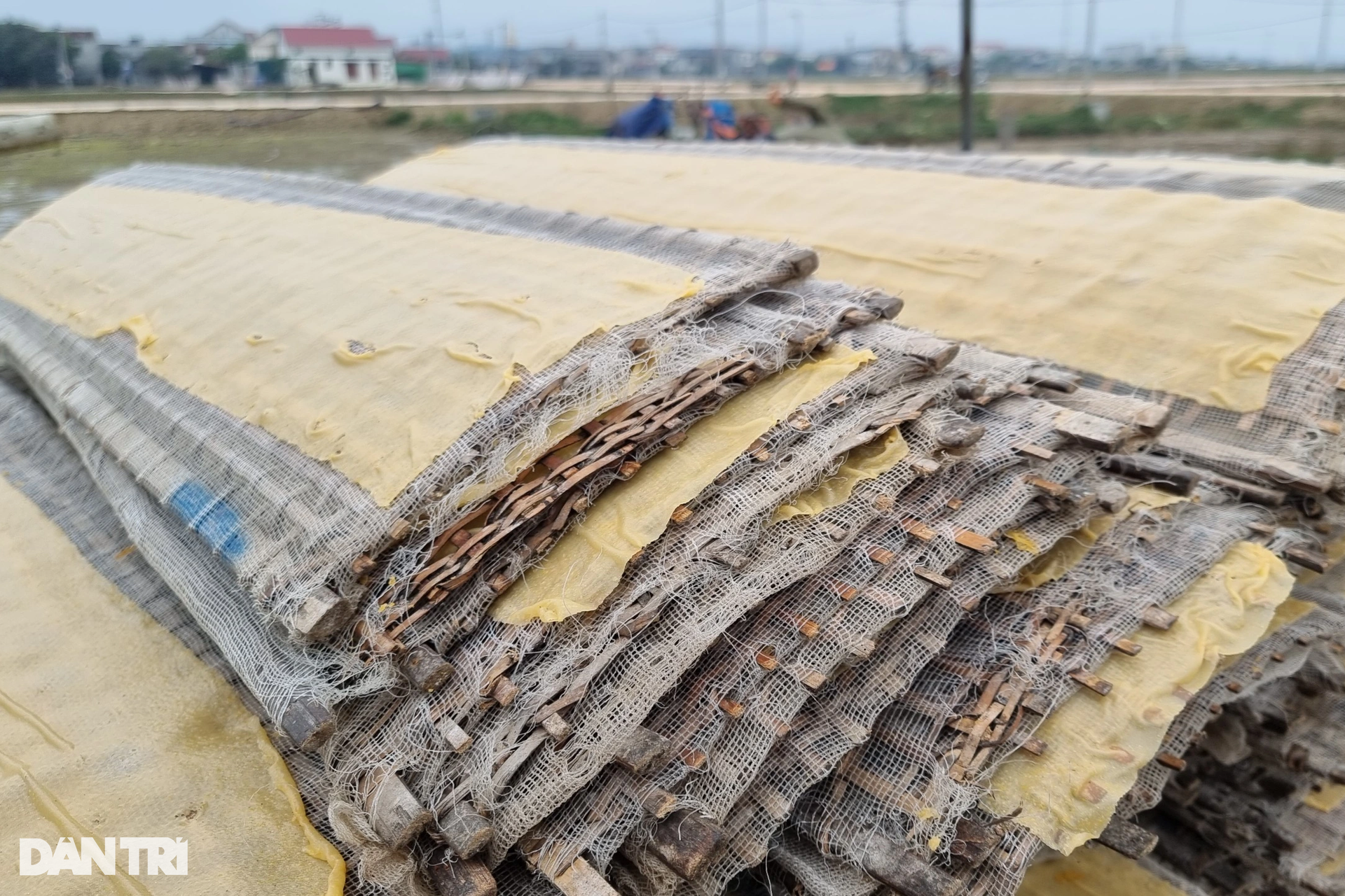 Huy động cả làng làm bánh tráng từ sáng đến khuya để phục vụ Tết - 8 Huy động cả làng làm bánh tráng từ sáng đến khuya để phục vụ Tết - 8