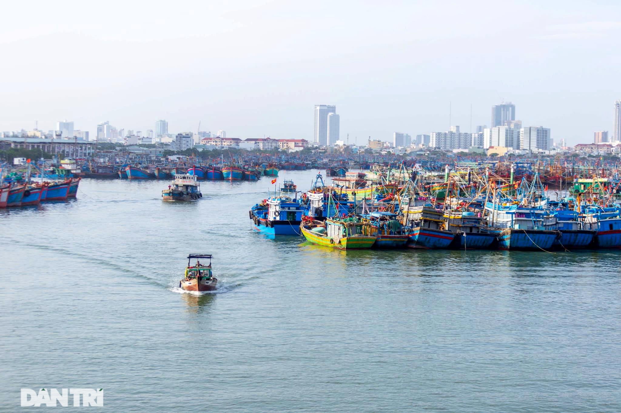 Hàng trăm tàu thuyền của ngư dân Đà Nẵng được đưa lên bờ tránh bão số 9 - 15 Hàng trăm tàu thuyền của ngư dân Đà Nẵng được đưa lên bờ tránh bão số 9 - 15