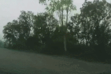 Nổi bật tuần qua: Kinh hoàng khoảnh khắc ô tô lao xuống vực vì vượt ẩu