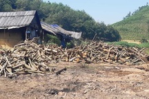 Nhiều lò than “thổ phỉ” không phép ngang nhiên hoạt động tại Nghệ An!