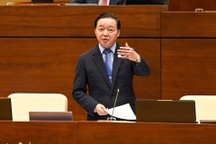 Vụ bỏ cọc ở Thủ Thiêm: Xử lý hình sự hay dân sự, hành chính?