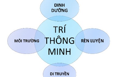 Những dưỡng chất cần cho sự phát triển của trẻ