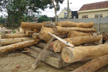 Một tháng bắt hơn 60m3 gỗ lậu