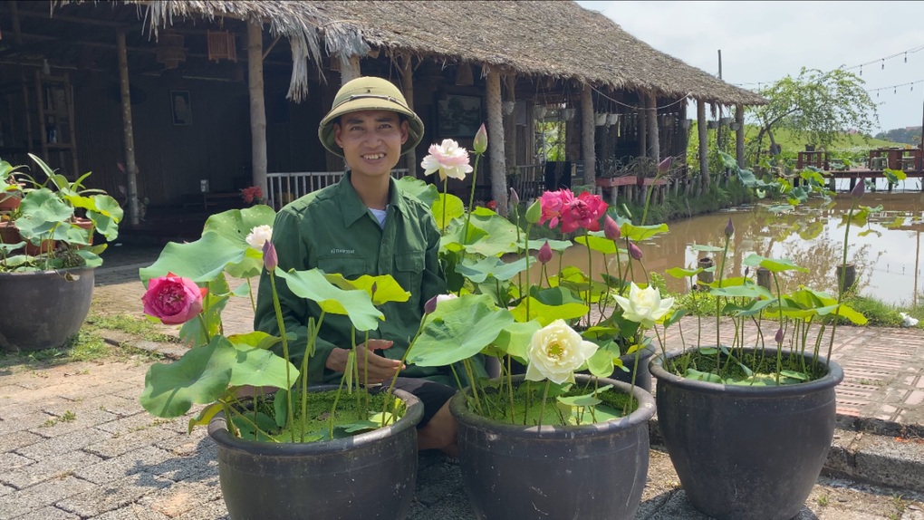Về quê trồng sen, nam cử nhân kiếm lợi nhuận khủng nhờ mắc bệnh liều - 1 Về quê trồng sen, nam cử nhân kiếm lợi nhuận khủng nhờ mắc bệnh liều - 1