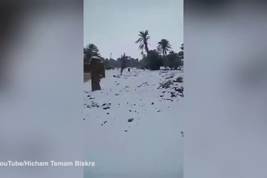 Tuyết bất ngờ lại phủ trắng sa mạc Sahara