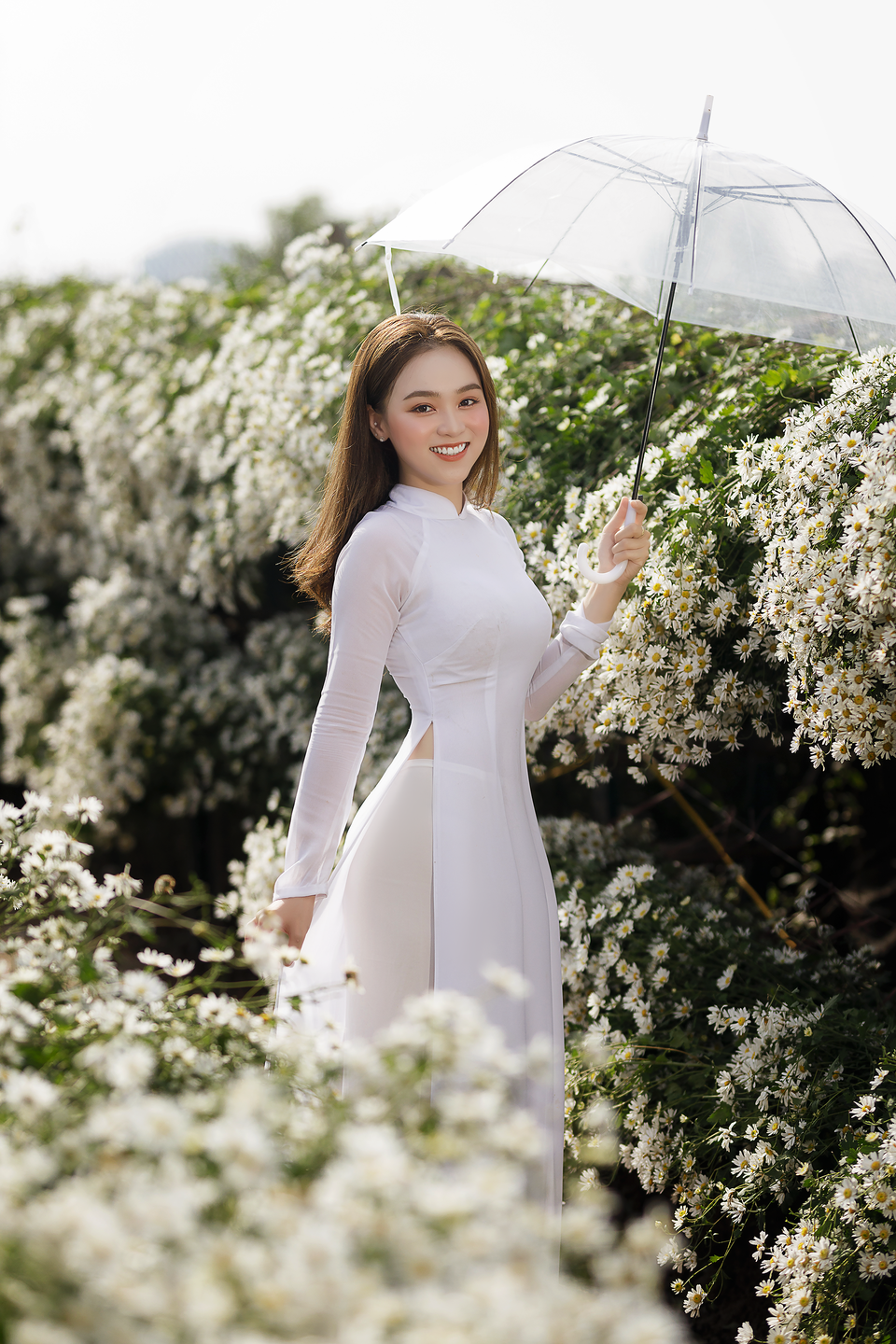 Thiếu nữ Hà thành đọ sắc với loài hoa báo hiệu mùa đông Hà Nội - 1 Thiếu nữ Hà thành đọ sắc với loài hoa báo hiệu mùa đông Hà Nội - 1