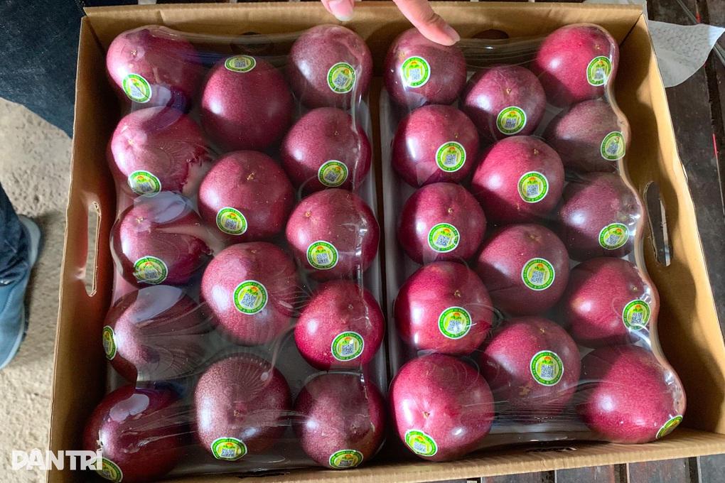 Người phụ nữ trồng và đưa chanh dây ra thế giới, thu tiền tỷ mỗi năm - 2