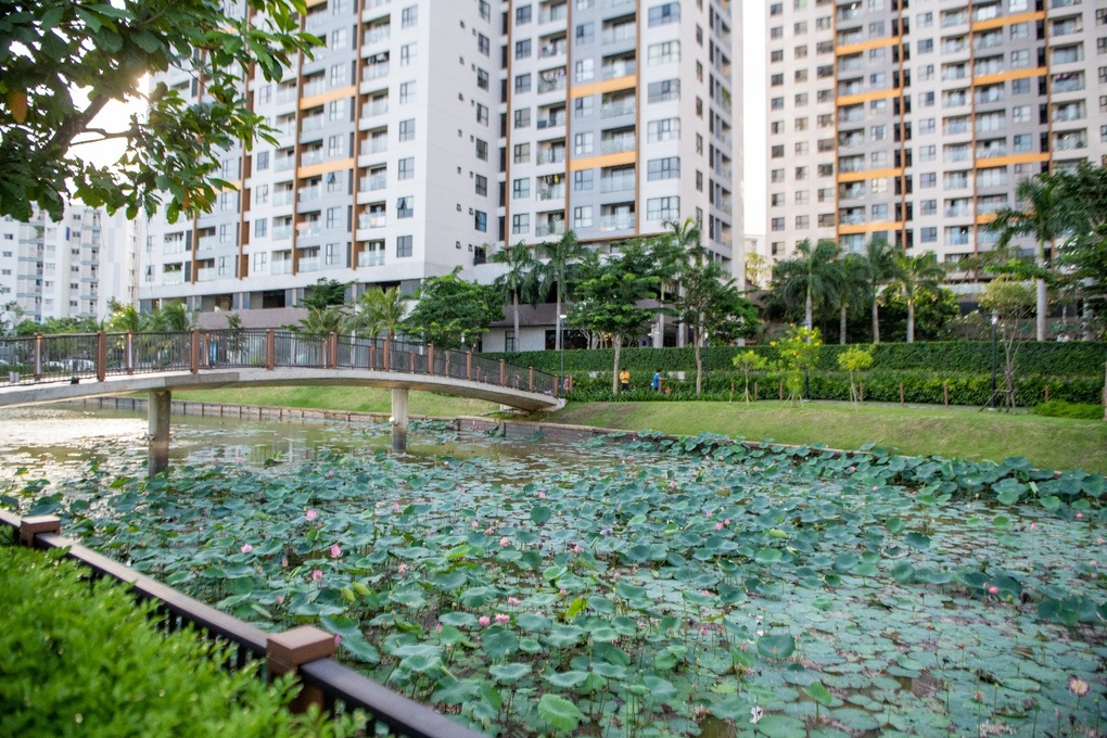 Cách Nam Long chăm chút trải nghiệm sống cho cư dân Flora Panorama - 3 Cách Nam Long chăm chút trải nghiệm sống cho cư dân Flora Panorama - 3