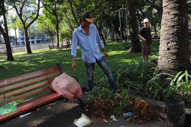 Tiểu thương đập bỏ cây kiểng chiều 30 Tết vì bị ép giá