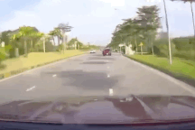 Người phụ nữ hồn nhiên dừng ô tô giữa đường để mua hoa quả