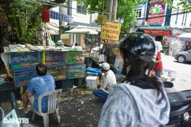 Phóng sinh và phóng tử