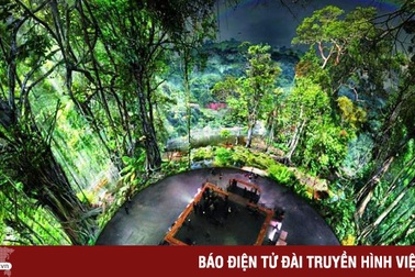 Tái hiện rừng nhiệt đới Amazon với 30.000 tấm ảnh