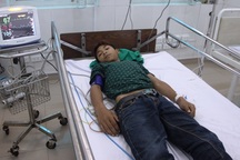 Hai học sinh bị tử vong, 1 em nguy kịch nghi do ăn trứng cóc