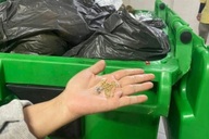 TPHCM: Vứt nhầm vàng của con dâu vào thùng rác, 4 người bới núi rác tìm