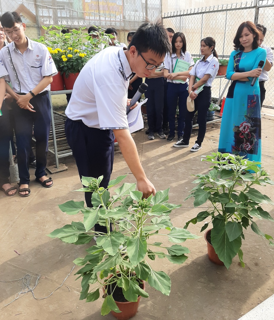Học tập theo dự án STEM, Tết này em có hoa trưng Tết do chính mình trồng! - 2 Học tập theo dự án STEM, Tết này em có hoa trưng Tết do chính mình trồng! - 2