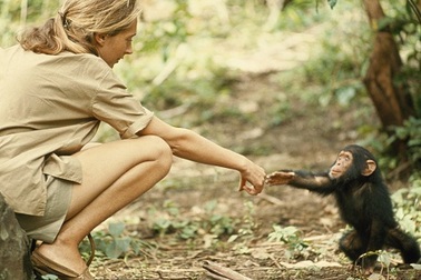 Những bức ảnh của 100 năm