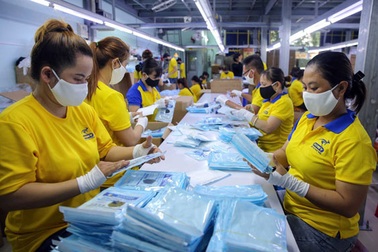 Có thêm 65.000 chỗ làm việc dịp cuối năm, thị trường lao động TP.HCM khởi sắc