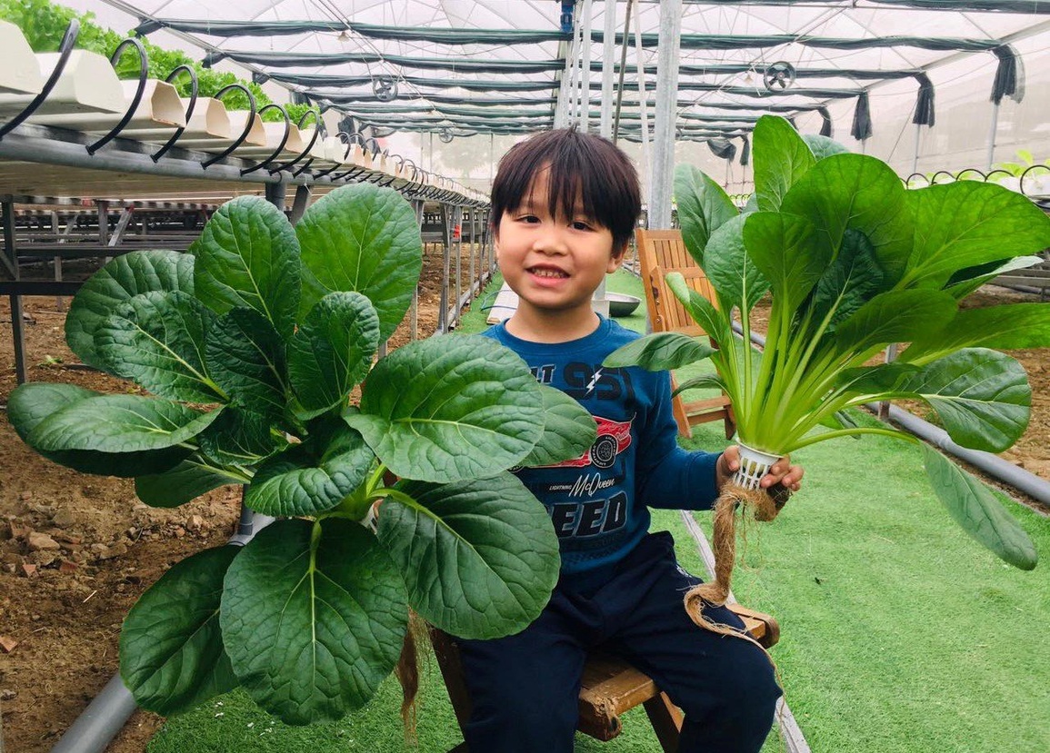 Trẻ mầm non HN trở lại trường: Chuyên gia chỉ cách phòng lây nhiễm - 2 Trẻ mầm non HN trở lại trường: Chuyên gia chỉ cách phòng lây nhiễm - 2