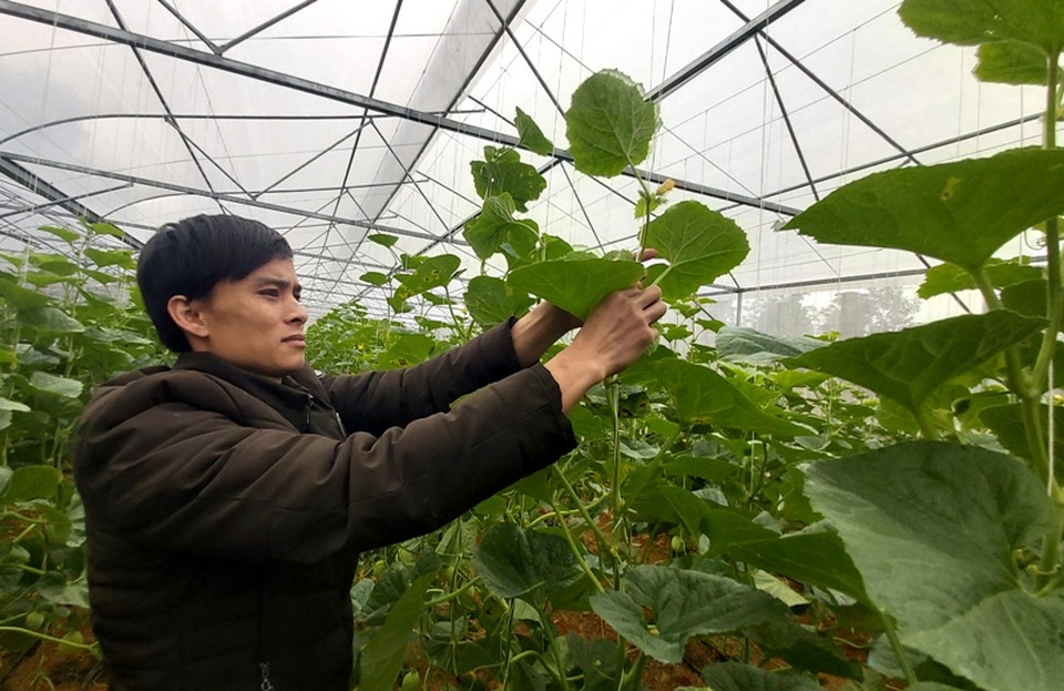 Nam thanh niên người Thái làm giàu từ đất, thu gần nửa tỷ đồng mỗi năm - 7 Nam thanh niên người Thái làm giàu từ đất, thu gần nửa tỷ đồng mỗi năm - 7