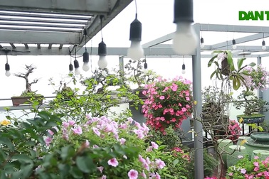 Choáng ngợp căn penthouses với sân vườn ngập cây xanh của doanh nhân Hà Nội