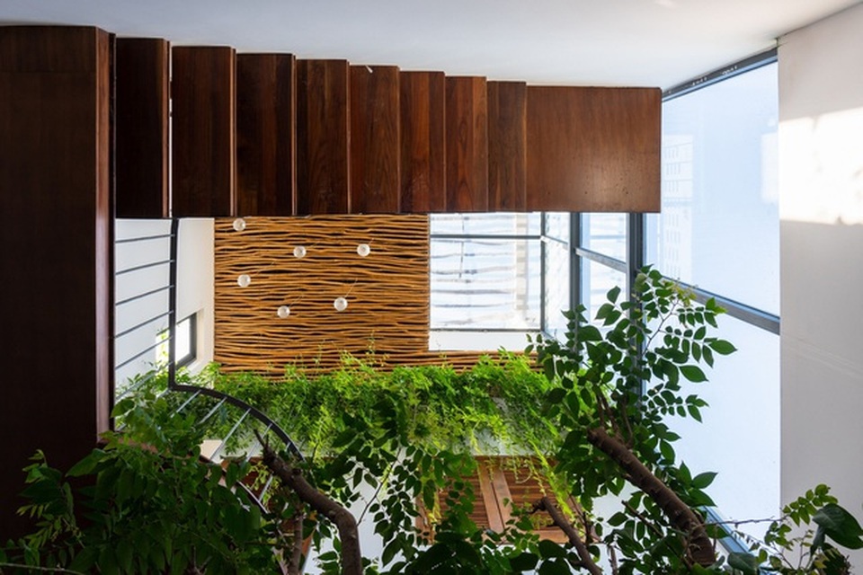 “Khu rừng nhiệt đới” nằm ẩn trong nhà phố khiến ai bước vào cũng trầm trồ - 6