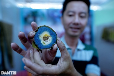 Báo Dân trí giành giải 3 phóng sự ảnh về Du lịch TPHCM