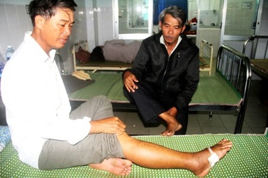 Rắn lục đuôi đỏ "tràn qua" Quảng Nam, Đà Nẵng