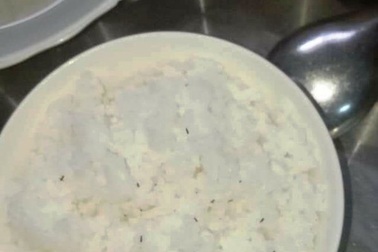 Người dân khốn khổ vì “giặc” mọt mì