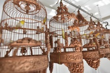 Cận cảnh bộ sưu tập lồng chim đắt đỏ giá 10 tỷ đồng của đại gia Việt