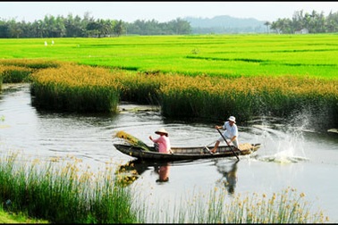 Việt Nam lên kế hoạch “xóa sổ” chất phá hủy tầng ozon
