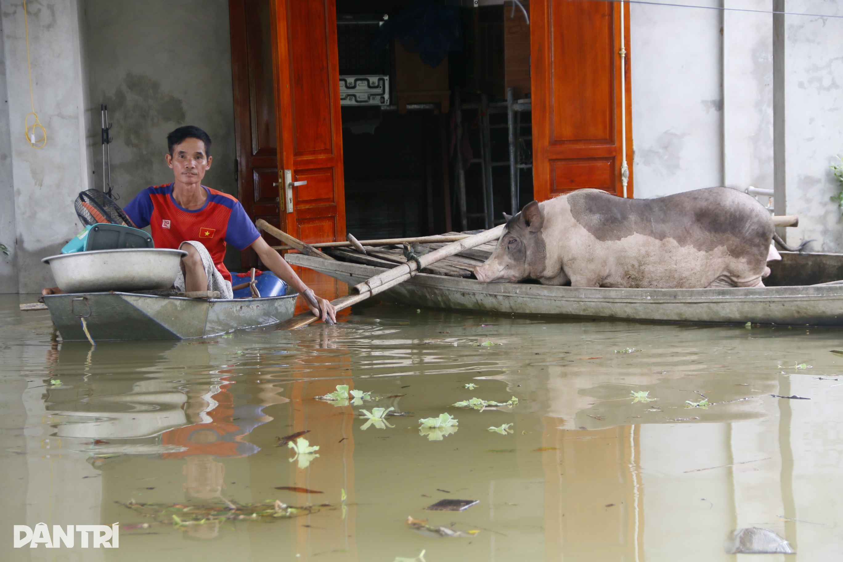 Cenas de vida em um barco, dormindo no telhado de uma casa no centro de inundação do Rio Hoang Long - 4 Cảnh sống trên thuyền, ngủ mái nhà ở rốn lũ sông Hoàng Long - 4