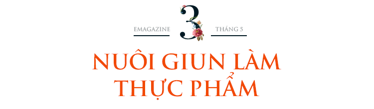 Cho lợn nghe nhạc, nuôi giun làm thực phẩm người phụ nữ thu nhập tiền tỷ - 6 Cho lợn nghe nhạc, nuôi giun làm thực phẩm người phụ nữ thu nhập tiền tỷ - 6