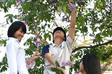 Tháng 5 và lớp 12 ngày ấy