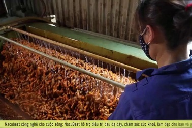 “Giải mã” vì sao uống nghệ triền miên mà vẫn bất lực với bệnh dạ dày